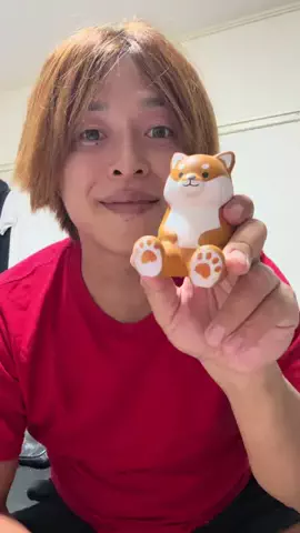 Nitera/にてら🐻‍❄️🎆のTikTok投稿