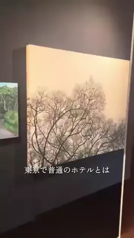 JDセレクトアイテム✨のTikTok投稿