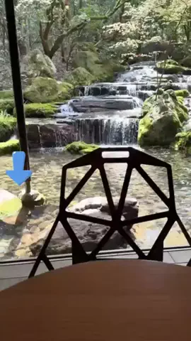 JDセレクトアイテム✨のTikTok投稿