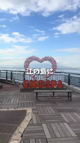 アラサー酒飲みサウナーOLまつ子のTikTok投稿
