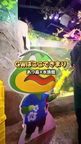 あるママのTikTok投稿