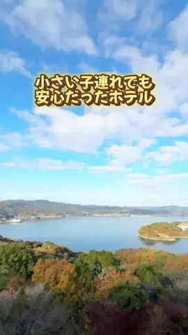あるママのTikTok投稿
