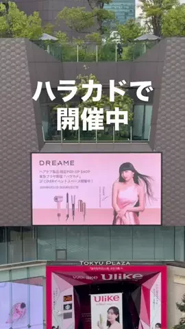 キラさんの東京グルメ🗼のTikTok投稿