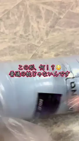 ❤️‍🔥❤️‍🔥🐶🐾のTikTok投稿