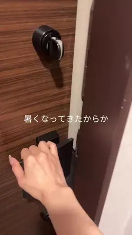 pumiのTikTok投稿