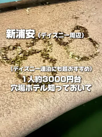 のりママのTikTok投稿
