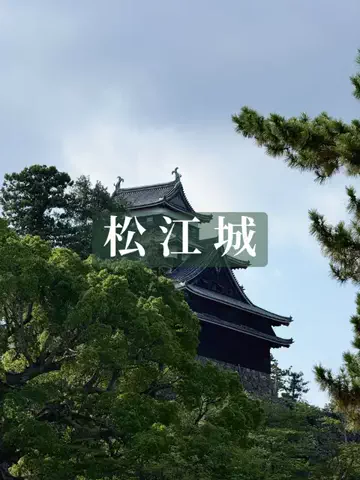 mino | 旅行とホテルのTikTok投稿