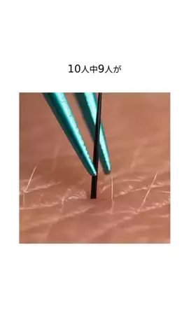 ariiinf01のTikTok投稿