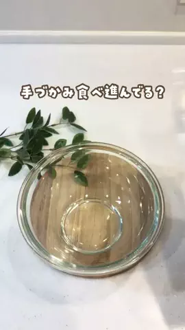まおぴ|栄養×ラクうま離乳食のTikTok投稿