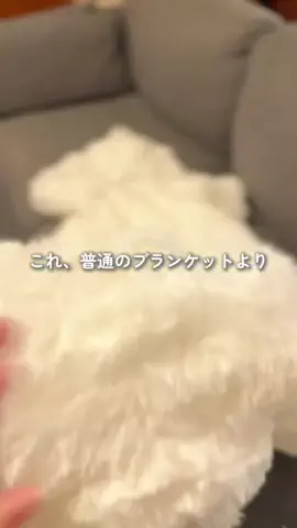 はなのTikTok投稿