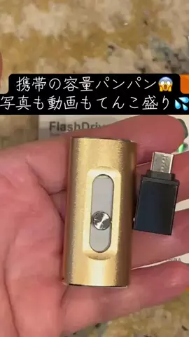 ちーちゃん🎀2匹のわんことハッピー人生のTikTok投稿