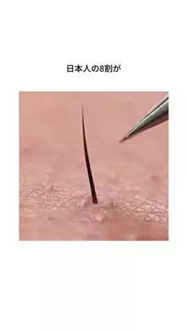 ariiinf01のTikTok投稿