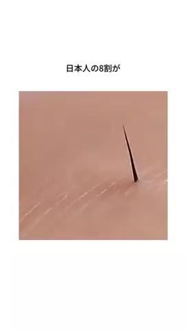 ariiinf01のTikTok投稿