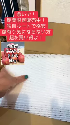 ちーちゃん🎀2匹のわんことハッピー人生のTikTok投稿