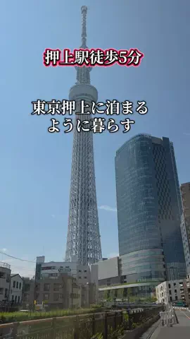 トトのTikTok投稿