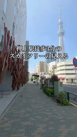 トトのTikTok投稿