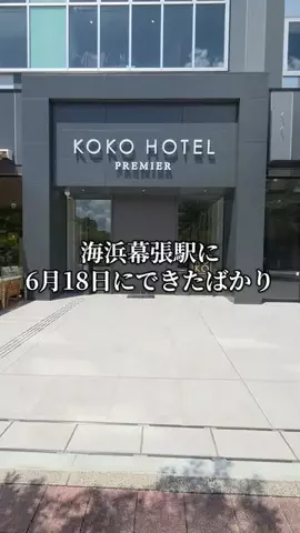 トトのTikTok投稿