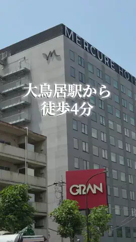 トトのTikTok投稿