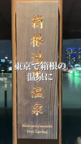 トトのTikTok投稿