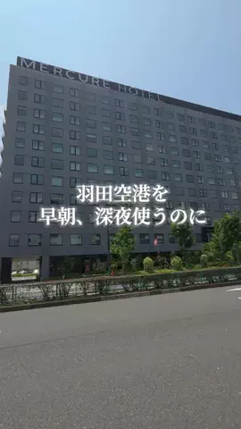 トトのTikTok投稿