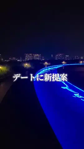 トトのTikTok投稿