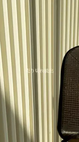 marin.cookingのTikTok投稿