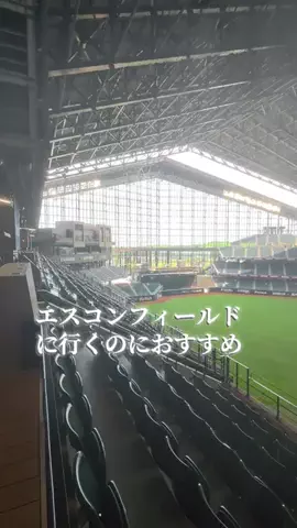 トトのTikTok投稿