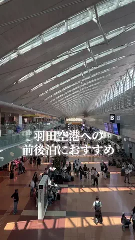 トトのTikTok投稿