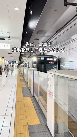 mocoのおでかけ日記のTikTok投稿
