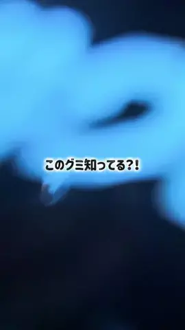 MomokoのTikTok投稿