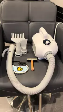 トイプードルのグレン君Hi i'm GLEN🐶のTikTok PR投稿：すっっつごく大風量✨ペットドライヤー✨✨ グレン君12:4…