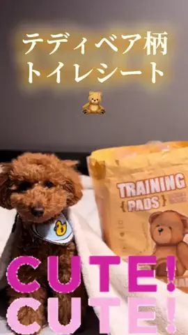 グレン君🐶トイプ🐶Hi i'm GLEN🐶のTikTok投稿