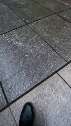 いい日旅立ちのTikTok投稿