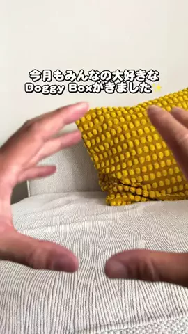 いなり🦊 【ダワワ】チワックスのTikTok投稿