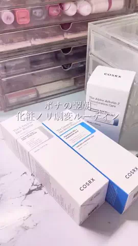 ポナ氏のTikTok投稿