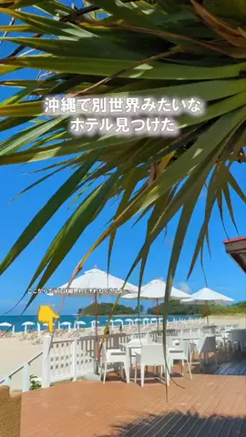ちむどんぐらむ×しんごぉ↑↑のTikTok投稿