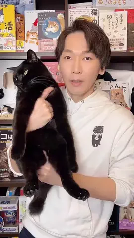 猫の先生＠タケのTikTok投稿
