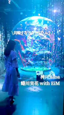 ふぁみりぃチャンネル☺︎のTikTok投稿