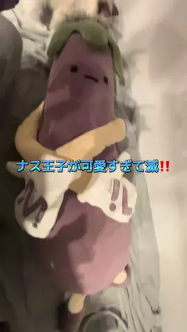 飯塚朱音(しゅおん)のTikTok投稿
