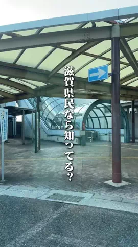 滋賀グルメ／SHIGA SELECTのTikTok投稿