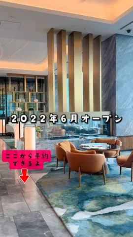 ペリー来航のTikTok投稿
