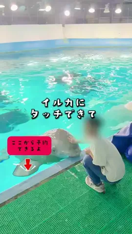 ペリー来航のTikTok投稿