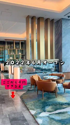 ペリー来航のTikTok投稿