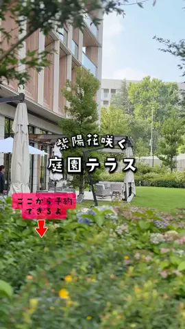 ペリー来航のTikTok投稿