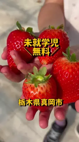 えりな｜栃木ママ｜宇都宮発子連れお出かけ情報のTikTok投稿