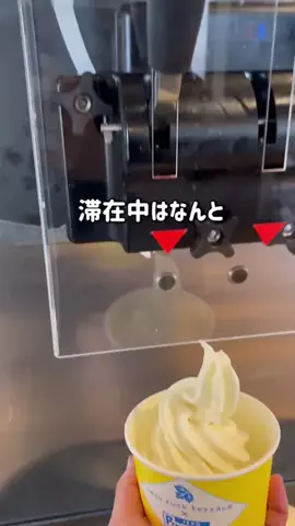 えりな｜栃木ママ｜宇都宮発子連れお出かけ情報のTikTok投稿