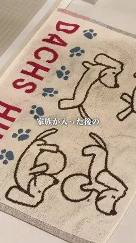 おりのTikTok投稿