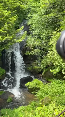 RKPhoto_9/ｱｰﾙｹｰﾌｫﾄﾅｲﾝ📷のTikTok投稿