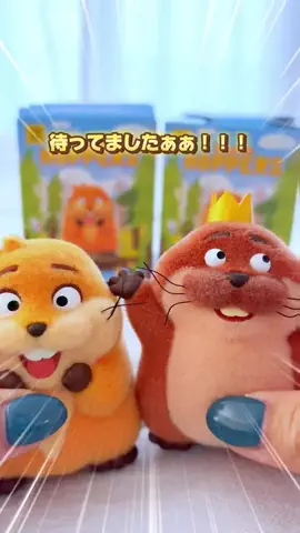 あるママのTikTok投稿