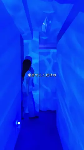 東京えきさんぽのTikTok投稿